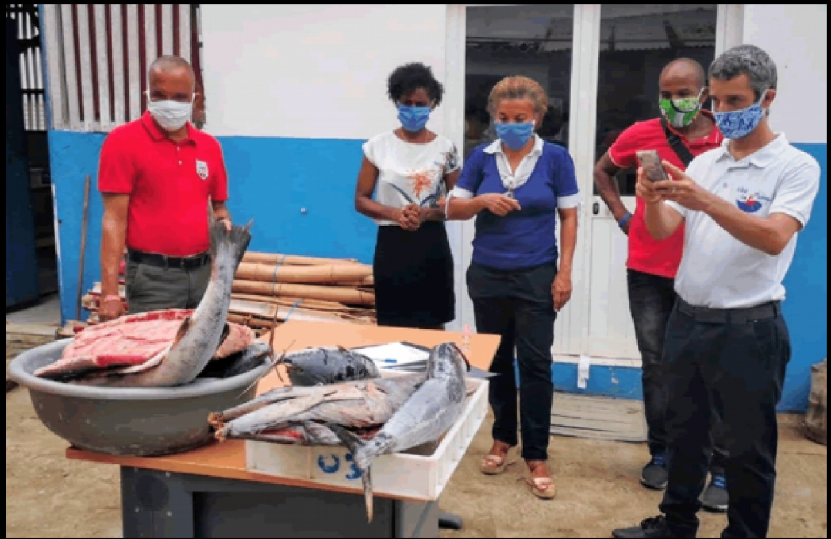 Oikos e parceiros vão distribuir uma tonelada de peixe para famílias vulneráveis em São Tomé e Príncipe