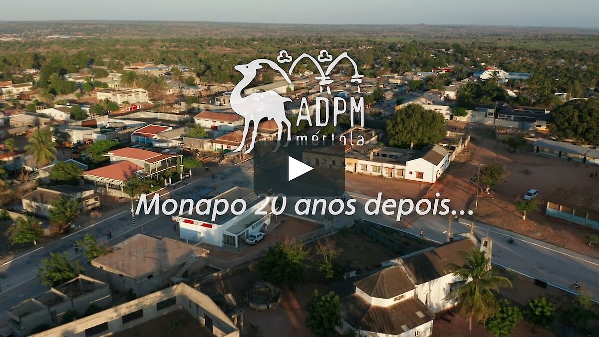 Monapo 20 anos depois