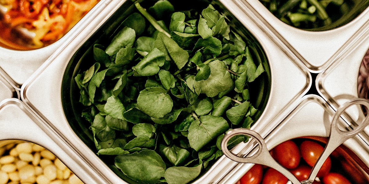 Parecer - Iniciativas legislativas relacionadas com a preferência pela produção alimentar local nas cantinas públicas