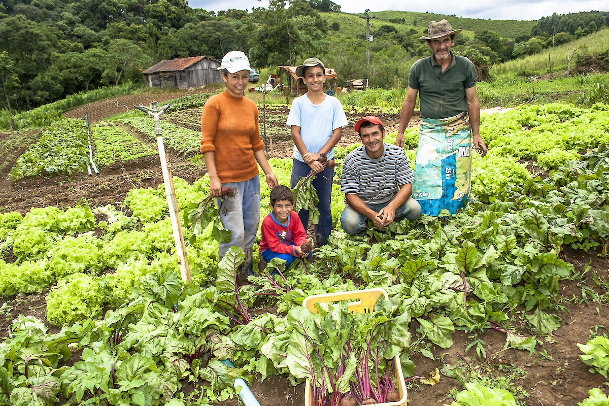 Sessão de partilha entre projetos sobre agricultura familiar, fixação de jovens e desafios dos territórios rurais