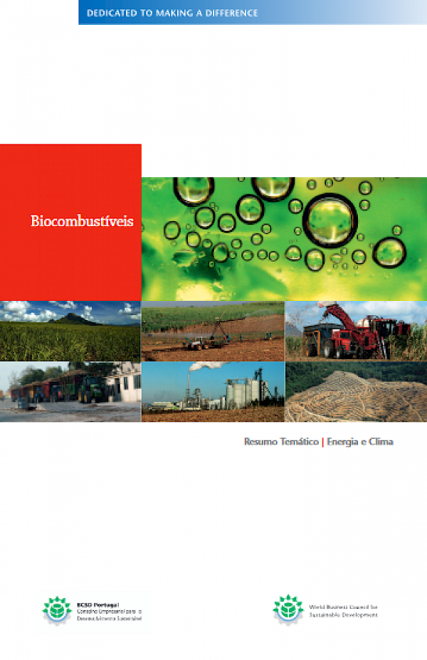 Biocombustíveis