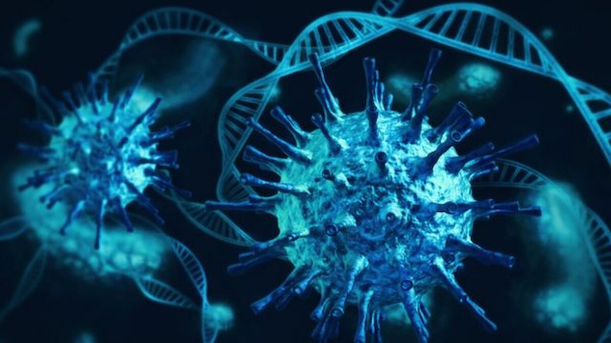 Inquérito - Impactos sociais da pandemia