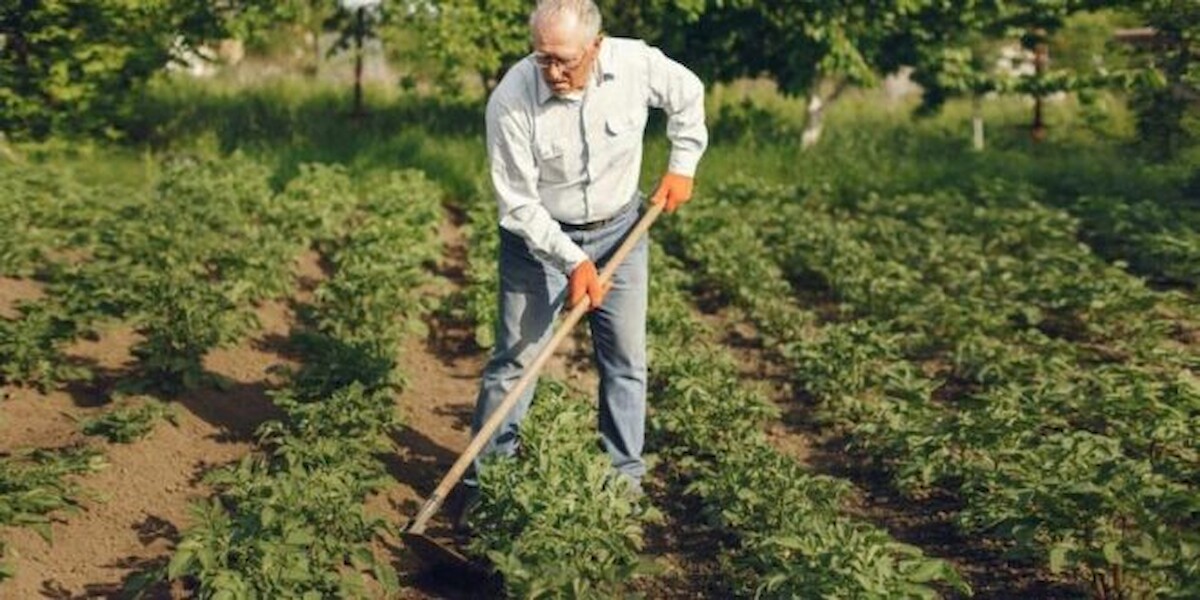 Realizaram-se as Jornadas da Agricultura Familiar