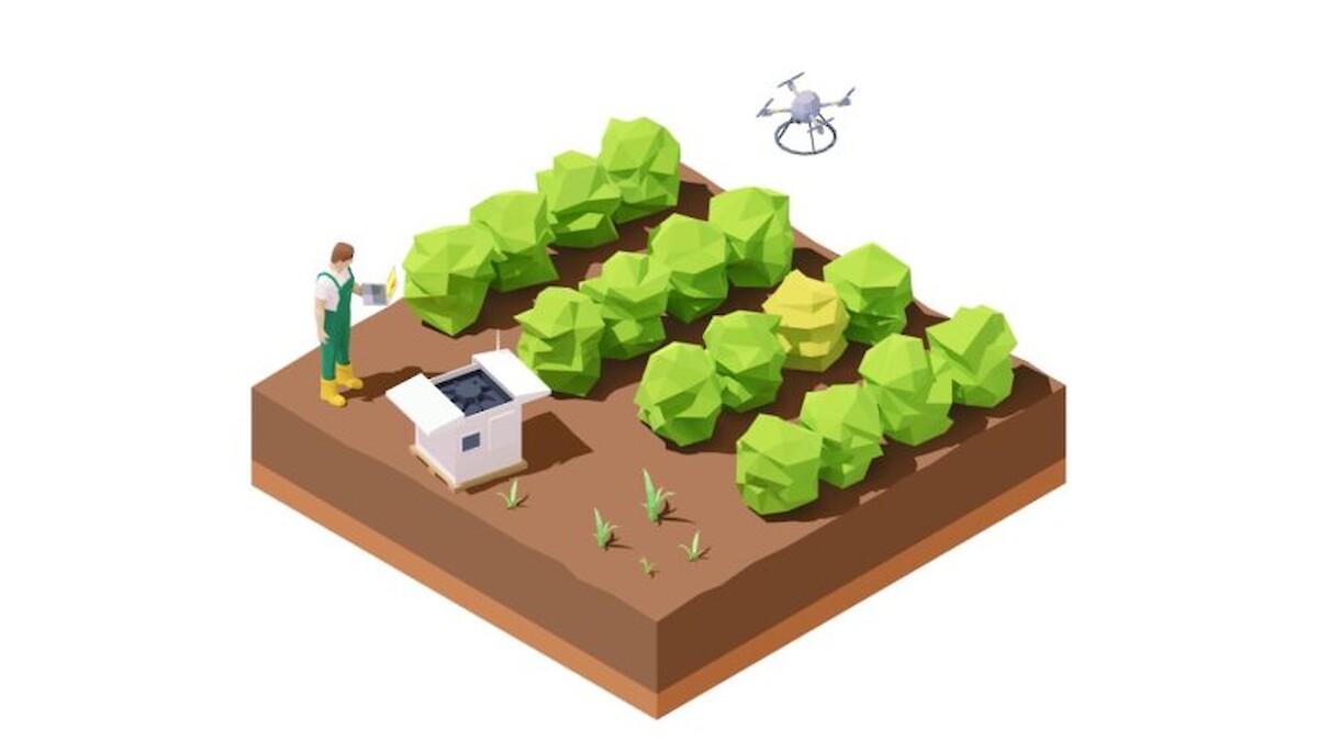 Recenseamento agrícola: Menos, mas mais profissionais