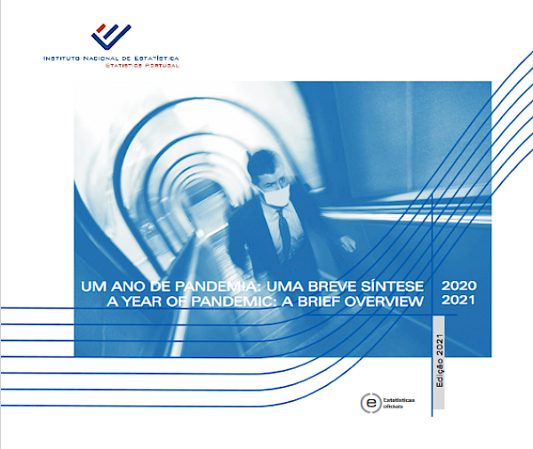 Um ano de pandemia: uma breve síntese - 2020-2021 / A year of pandemic: a brief overview - 2020-2021