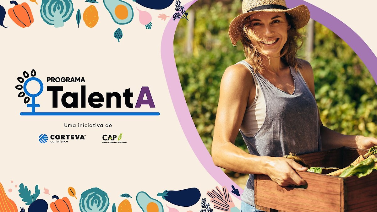 Programa TalentA
