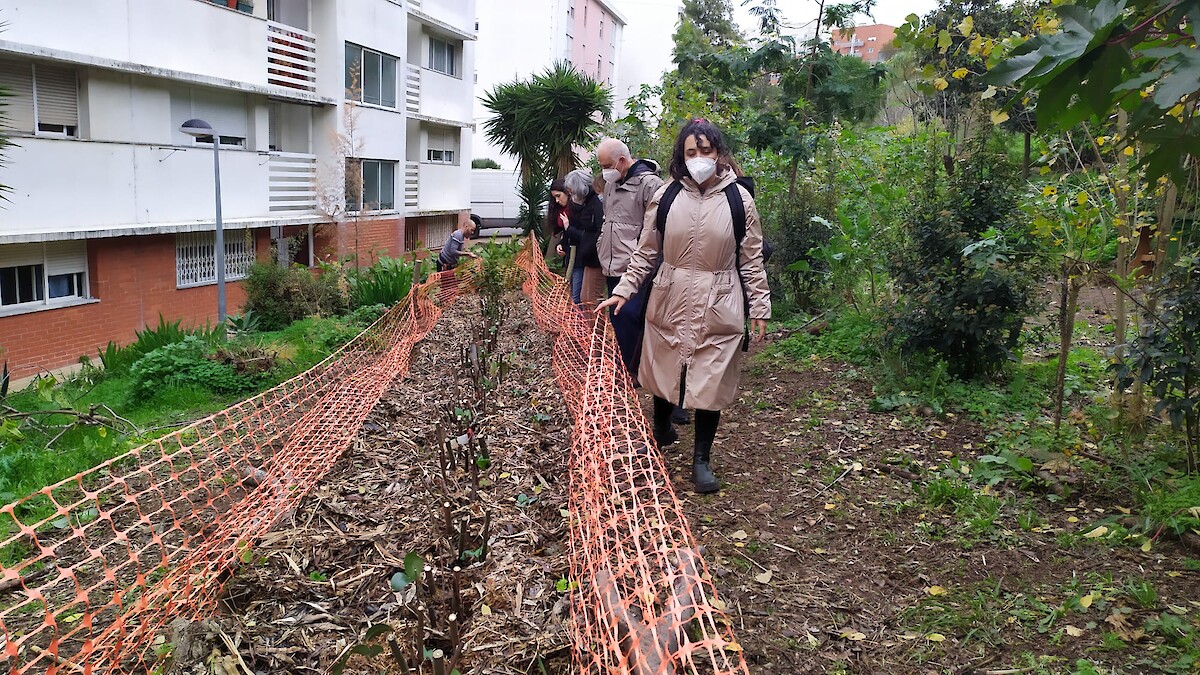 Grupo de Trabalho da ANIMAR Ecologia e Casa Comum visita a AgroFloresta de Campolide – Bela Flor Respira