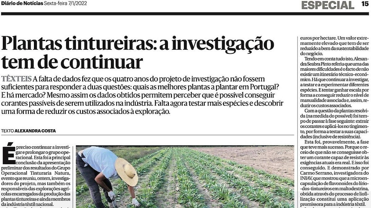 Plantas Tintureiras: A investigação tem de continuar | ADPM Mértola