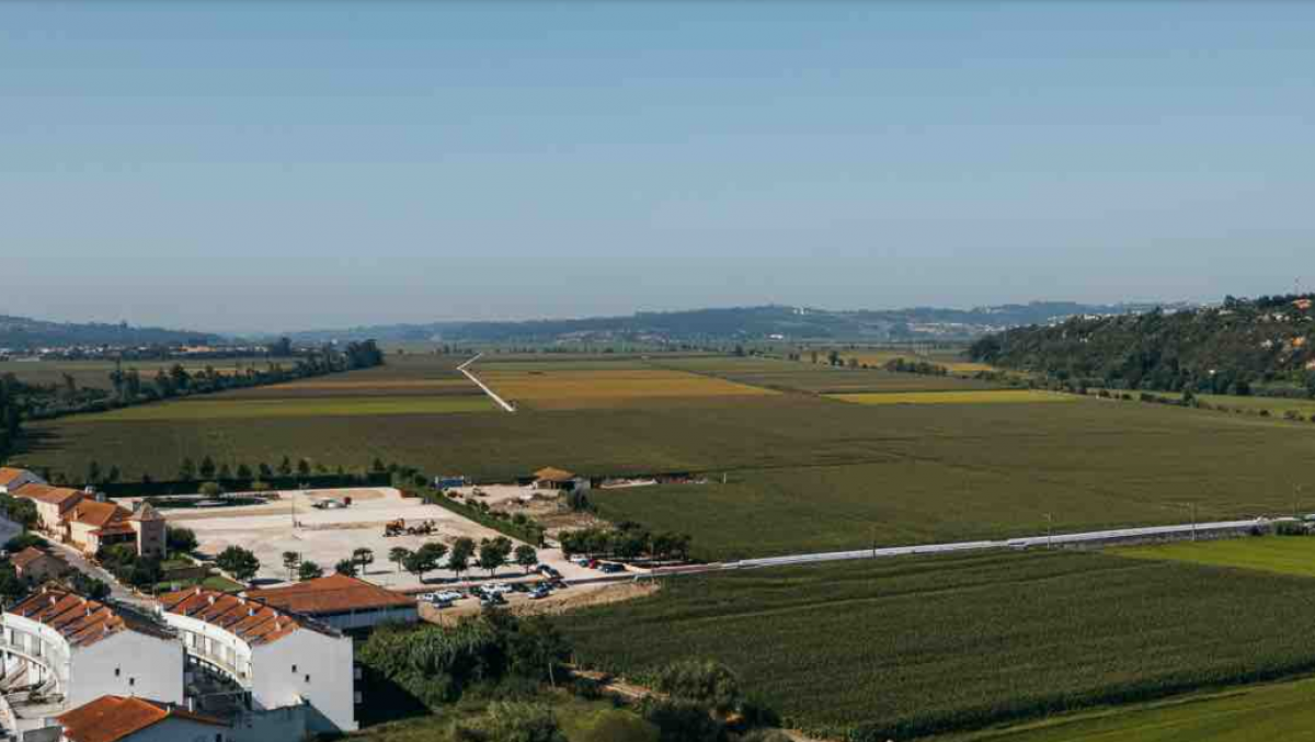 Arroz - um produto de promoção do Baixo Mondego
