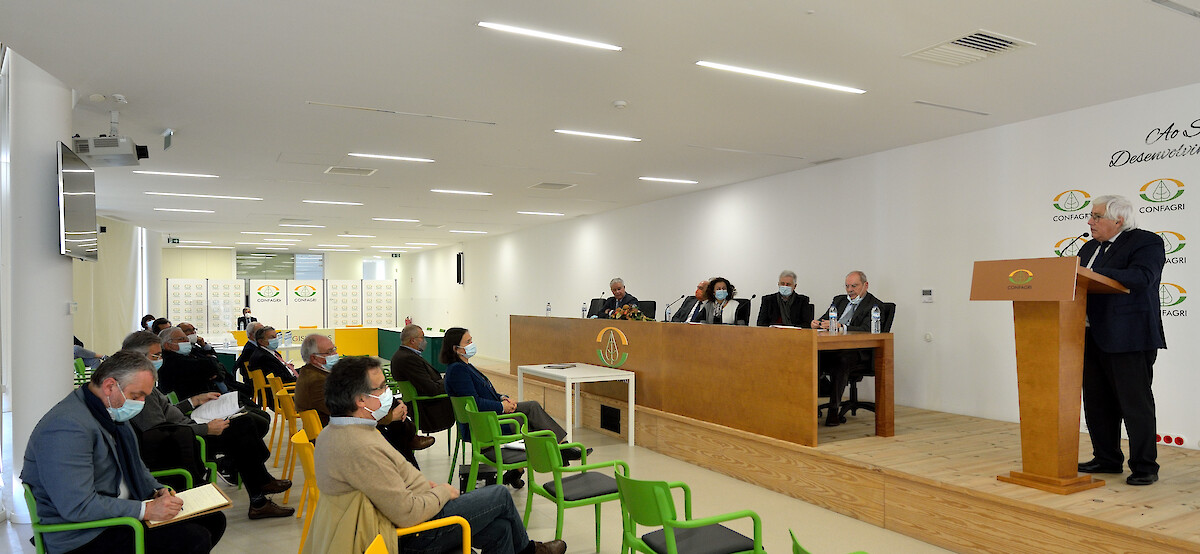 Animar integra a Direção da CPES – Confederação Portuguesa de Economia Social