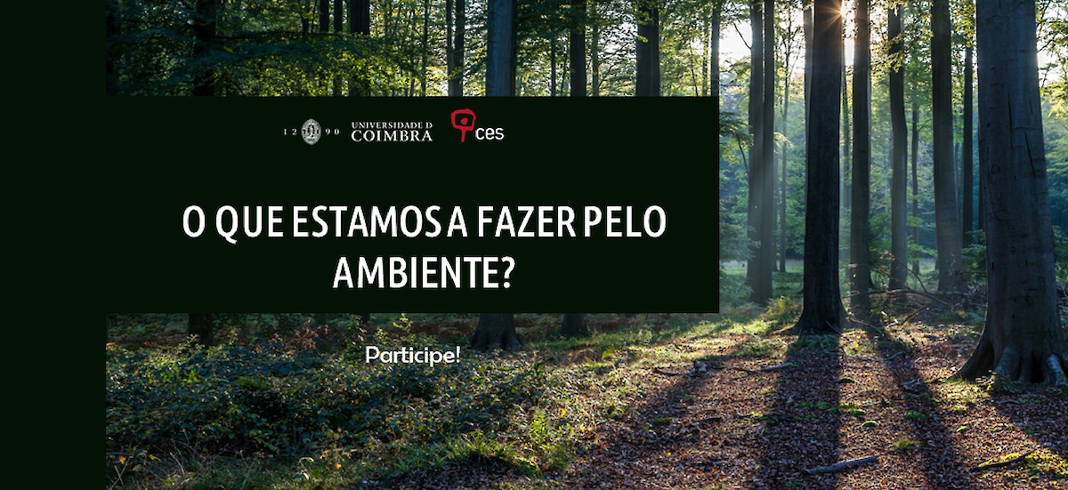 Pedido de Colaboração| Universidade de Coimbra | Convite ao apoio em investigação nacional